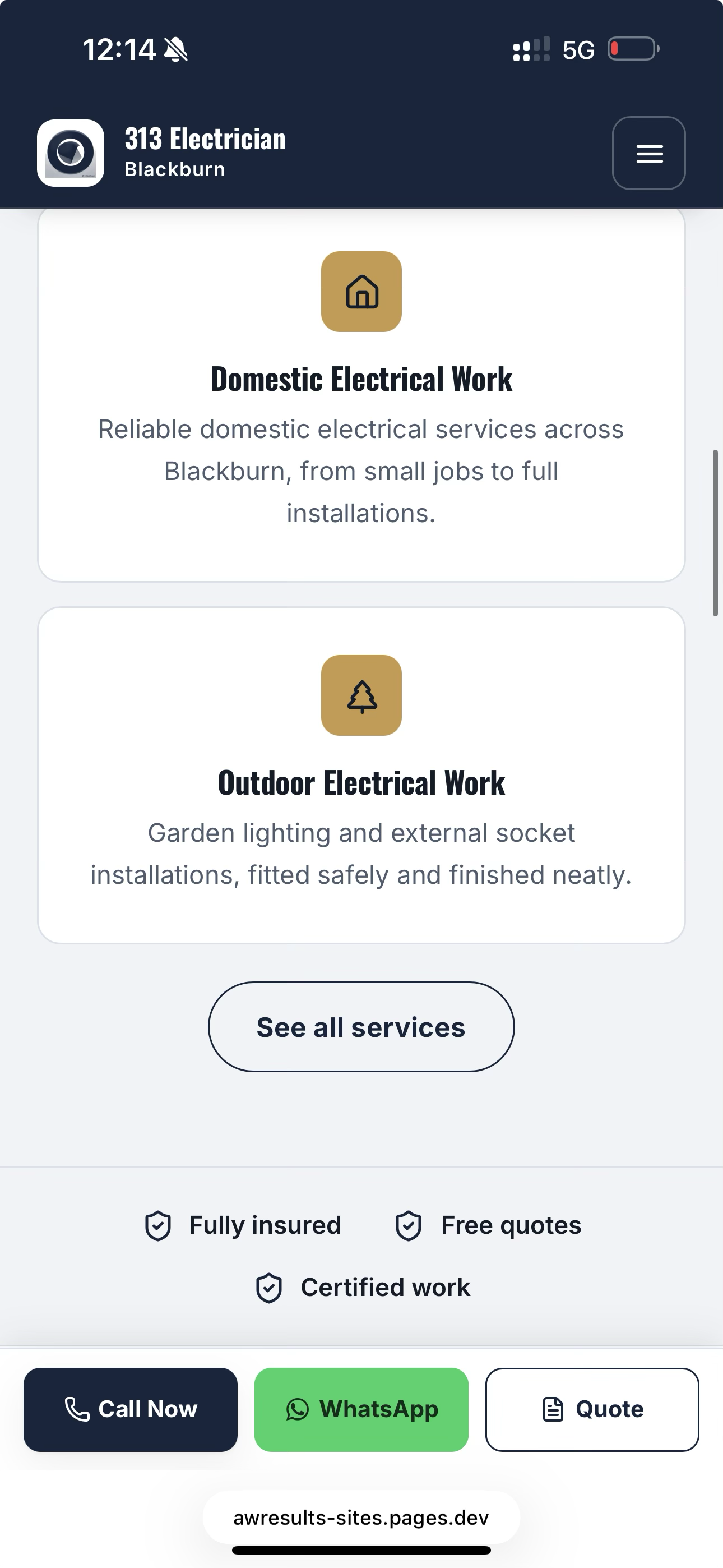 313 Electrician electrical project